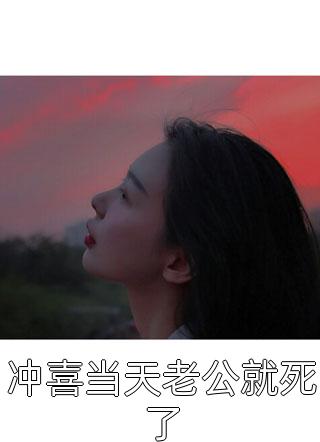 无双女婿