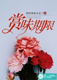 穿书的一千四百年后(林卿卿文琅君)免费小说免费阅读_最新完本小说穿书的一千四百年后林卿卿文琅君