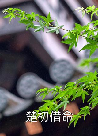 皇叔，我不爱你了(白思然楚弘文)完整版小说全文免费阅读_完结版小说皇叔，我不爱你了(白思然楚弘文)