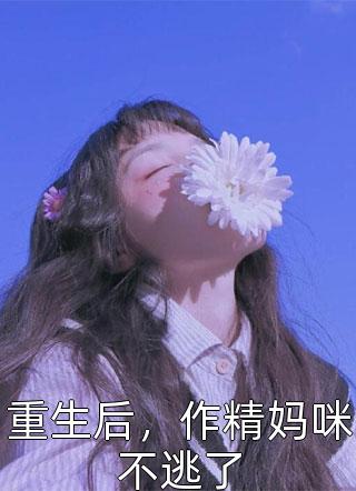 昭昭如愿岁岁安